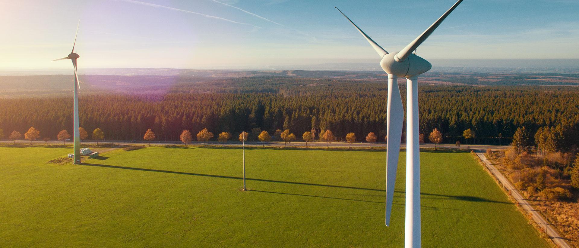 Das Bild zeigt Windkraftanlagen, für die LSV Stahl als Halbzeug in der Energieerzeugung eingesetzt wird